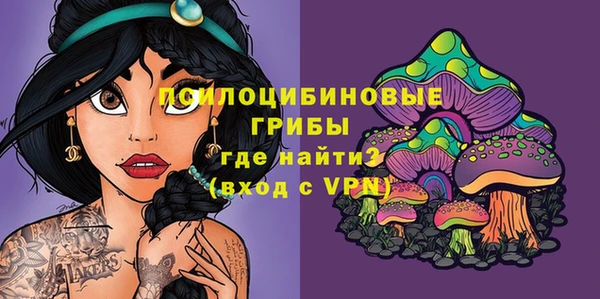 mdpv Бугульма