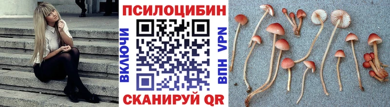Галлюциногенные грибы Cubensis  наркошоп  Барнаул 